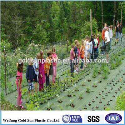 PP Woven Silt Fence/Agricultural Weed Mat/Landscape Fabric