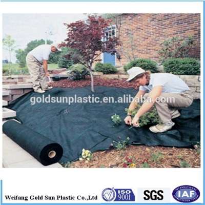 PP plastic Ground cover/ black plastic mulch use in agricultural cultivation